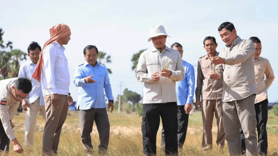 Drought impacts almost 60,000ha of rice in Cambodia’s Kampong Speu