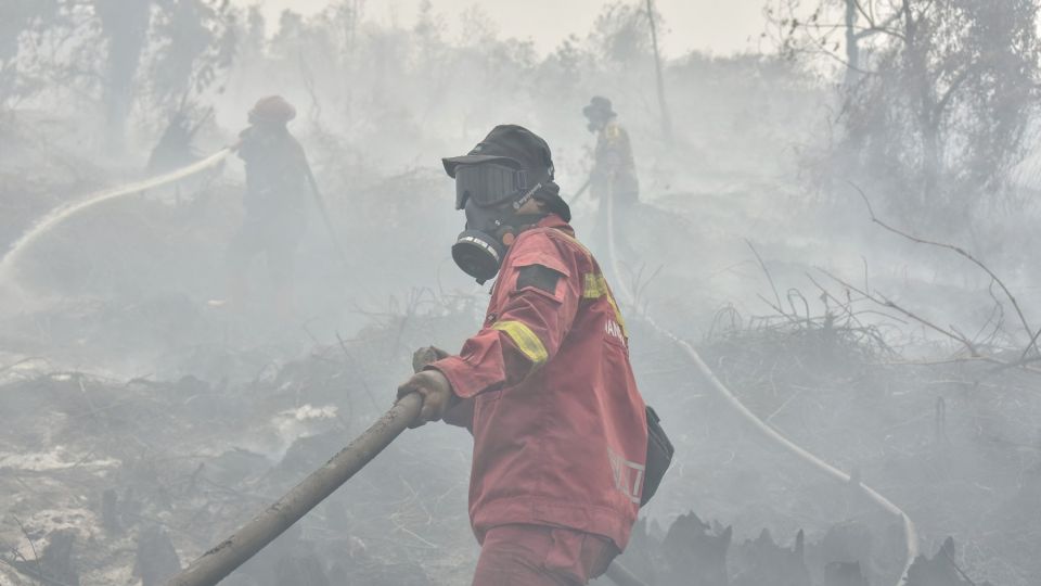 Unchecked businesses blamed for raging wildfires in Indonesia