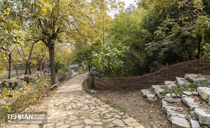ایجاد فضای فرهنگی در مجاورت فاز دوم روددره فرحزاد + زمان بهره‌برداری