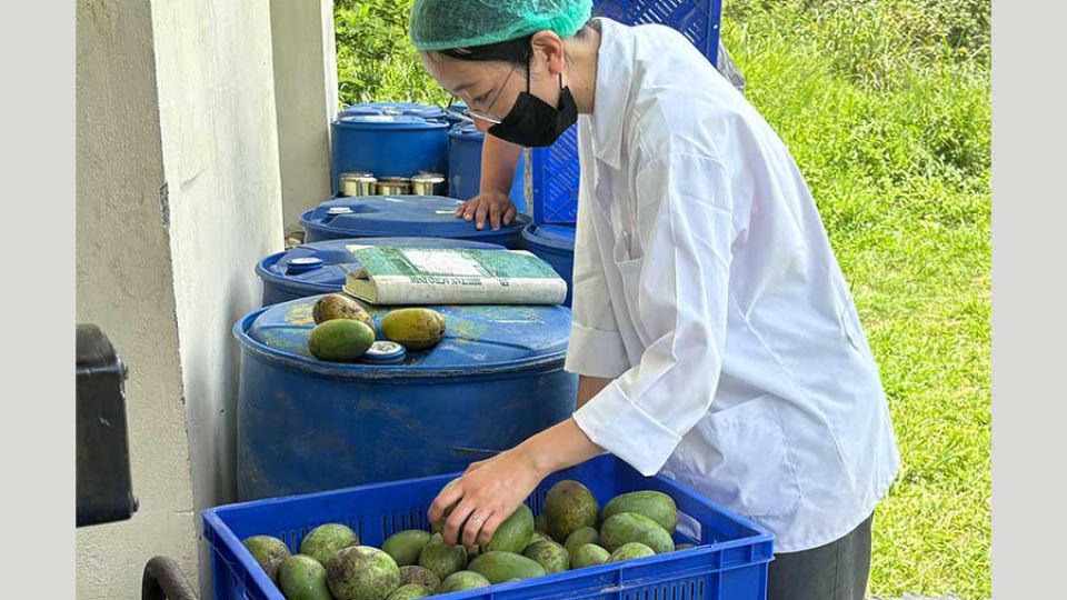 Bhutan’s Agro Industries Limited provides market, helps farmers cut post-harvest losses and boost income