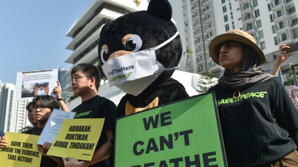 Indonesia vows to work with ASEAN members on haze