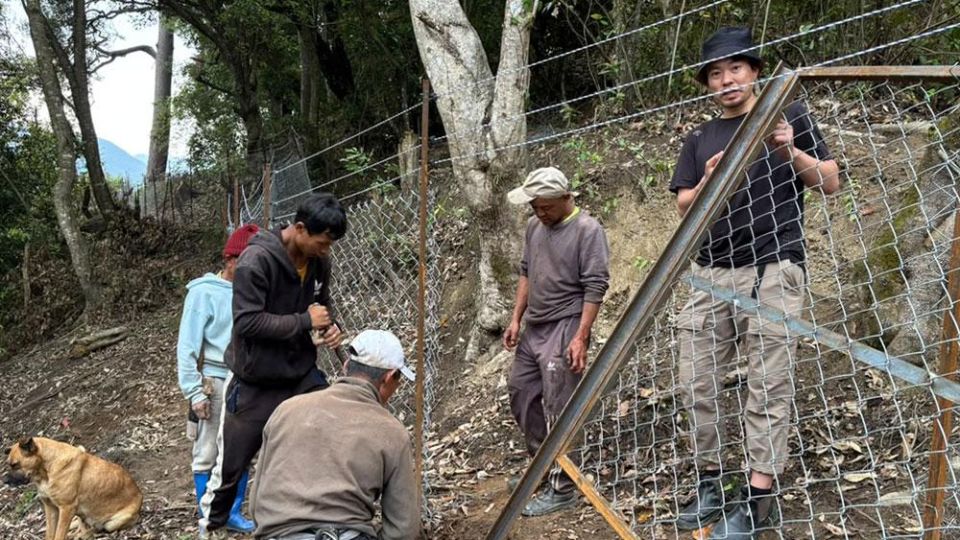 New hybrid fence brings relief to farmers in Bhutan’s Dawakha