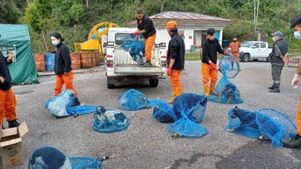 Bhutan becomes second country in the world to eliminate dog-transmitted rabies