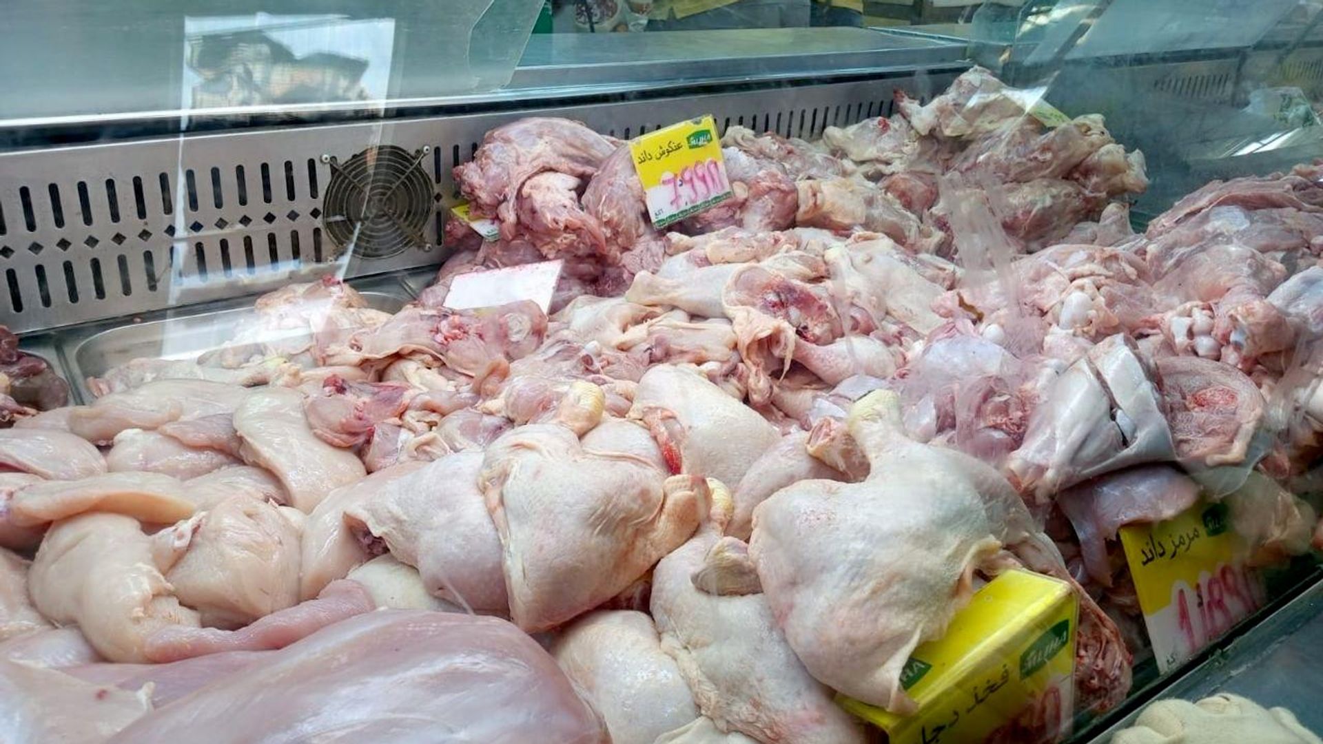 تضرر قطاع الدواجن فی تونس بسبب موجه الحر ودعوات لإنقاذ القطاع