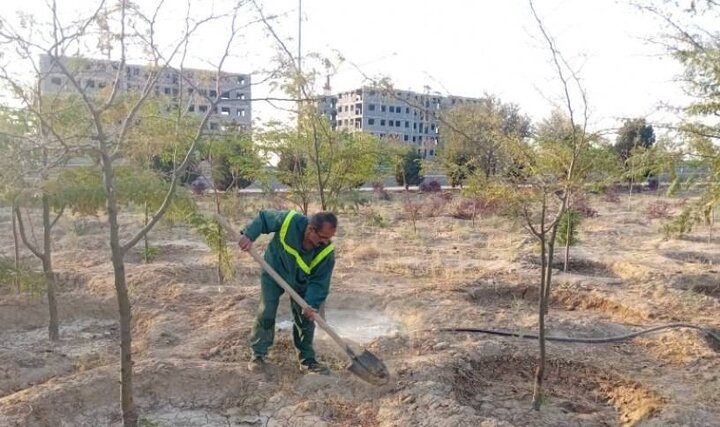 اجرای عملیات به‌زراعی بوستان جنگل وردآورد