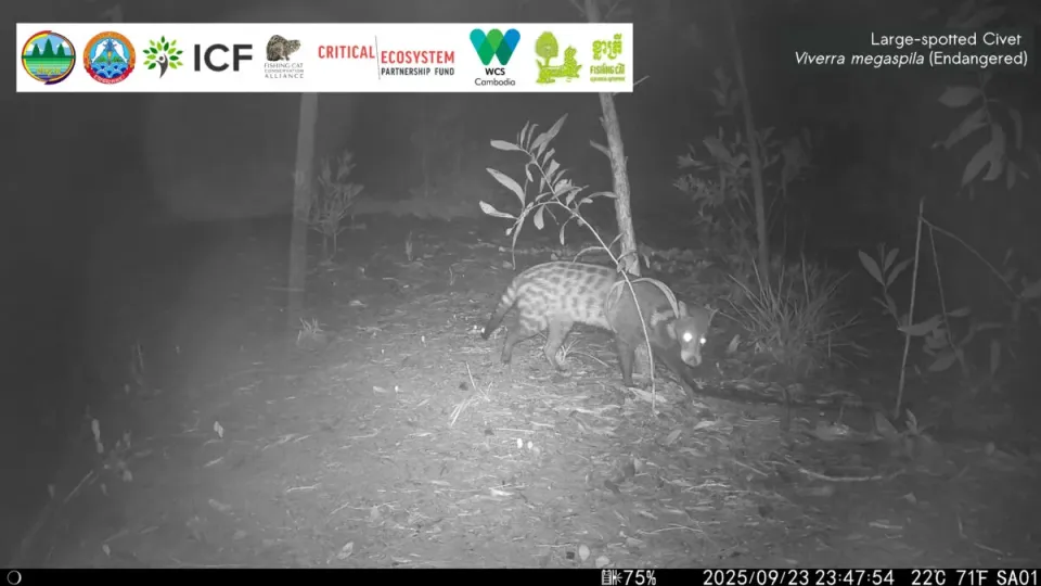 Endangered mammals recorded in Cambodia’s Koh Kong protected area for first time