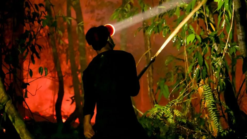 Indigenous Kalimantan people sue Indonesian government over wildfire negligence
