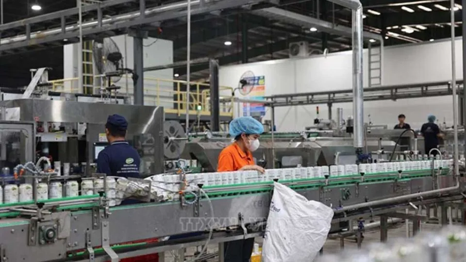 Vietnam offers up to USD150,000 to local businesses to accelerate enterprise AI adoption