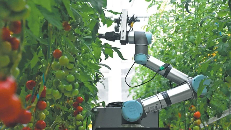 Smart machines transform China’s farms