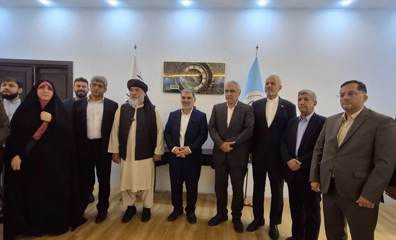ضرورت تسهیل همکاری های مشترک ایران و افغانستان در صنعت، معدن و کشاورزی/ غلبه نگاه امنیتی مانع بهره‌گیری از ظرفیت‌های اقتصادی افغانستان شده است