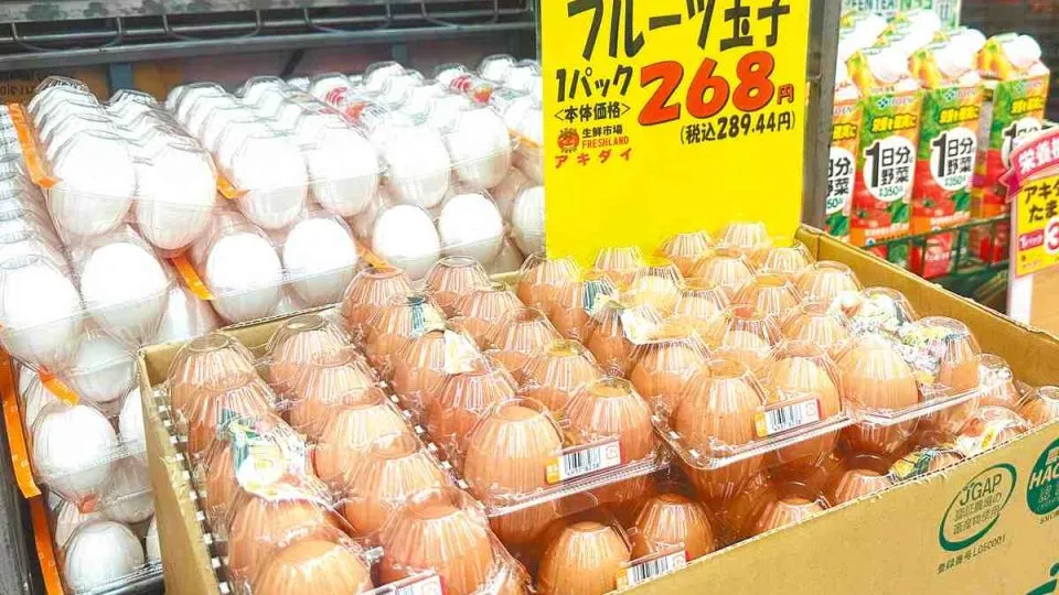 Egg prices near record-high in Japan as rising feed costs threaten supply crisis