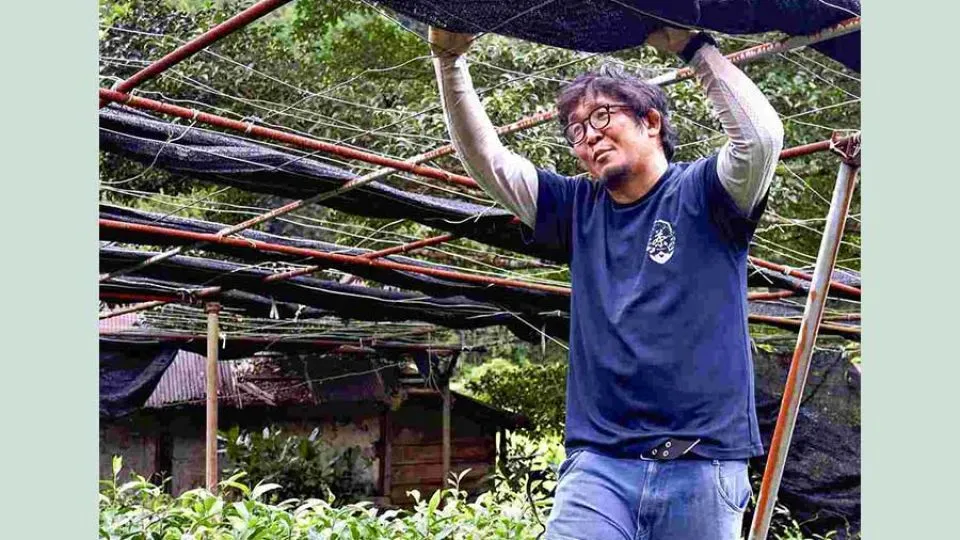 Matcha boom propels Japan’s Shizuoka prefecture back to top spot for green tea production