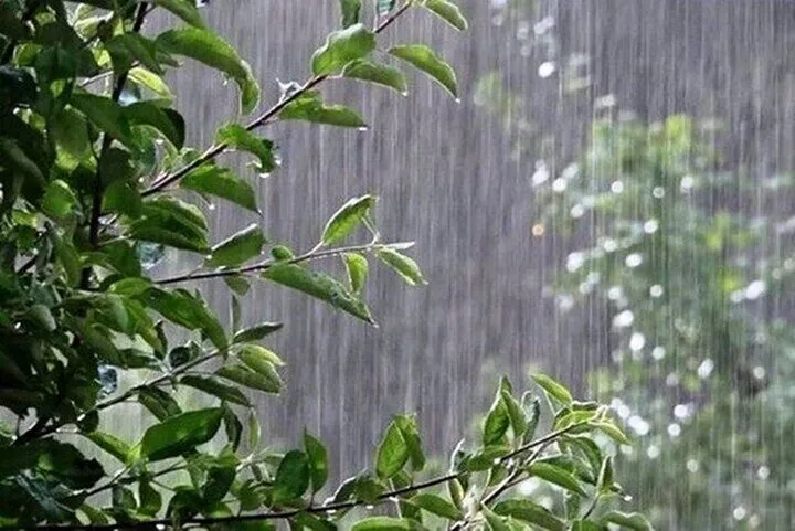 پیش‌بینی هواشناسی کرمان؛ کاهش دما و احتمال رگبار و رعدوبرق تا پایان هفته