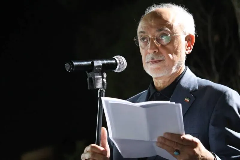 صالحی: گفتوگوی صریح میتواند مانع تنش در روابط دیپلماتیک شود