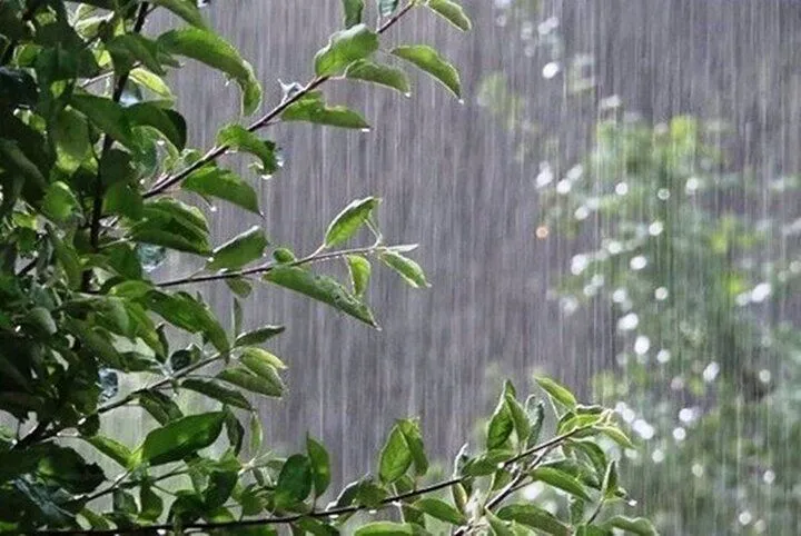 شمال کشور از سهشنبه بارانی و سرد میشود