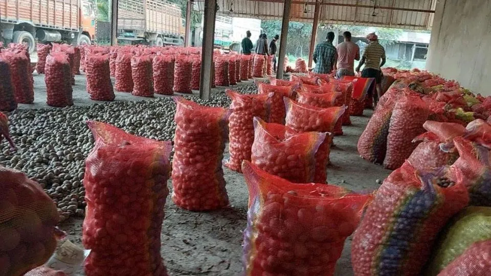 Falling prices and unpaid dues leave Bhutanese potato exporters in debt