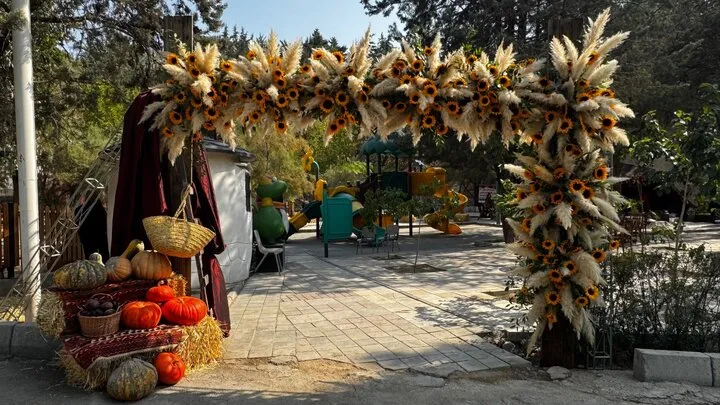 از نان محلی تا بازیهای هیجانی؛ جشنواره پاییزی بانوان در بوستان بهشت مادران آغاز شد