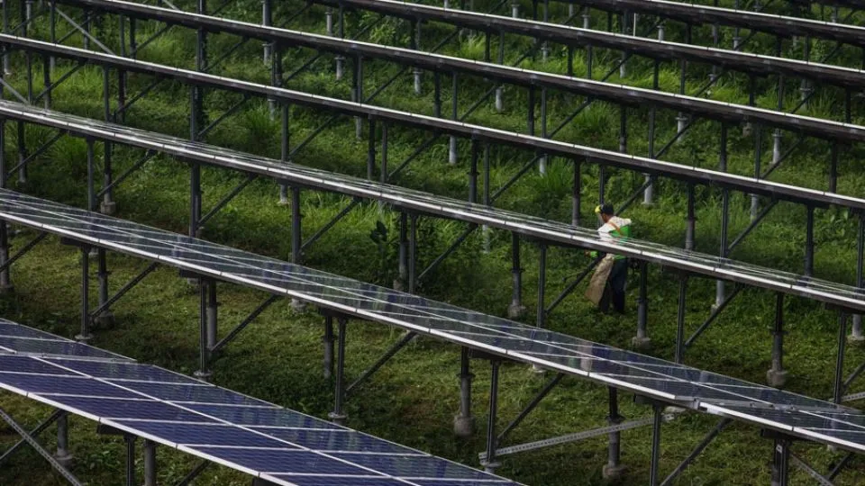 Solar rush: Why Filipino households are turning to the sun