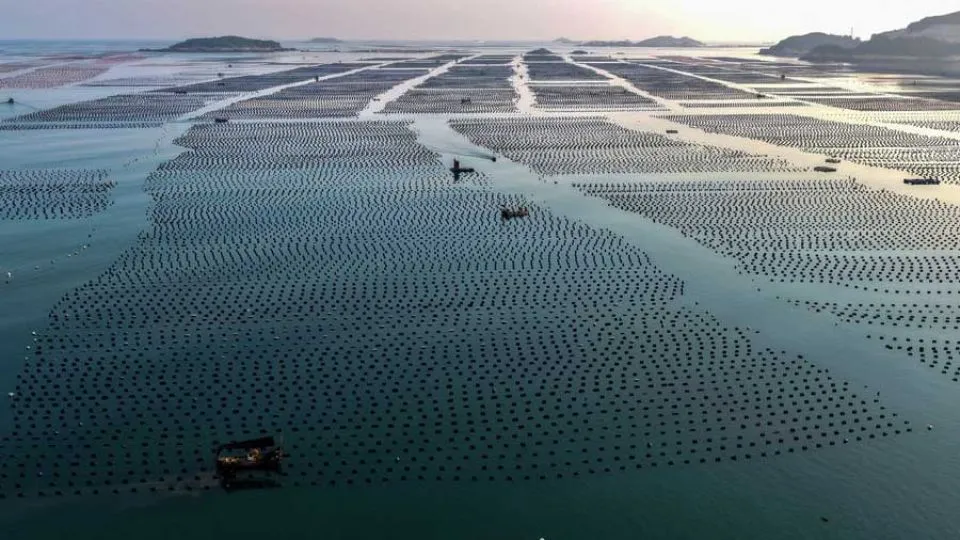 Maritime Silk Road to boost development of global blue economy