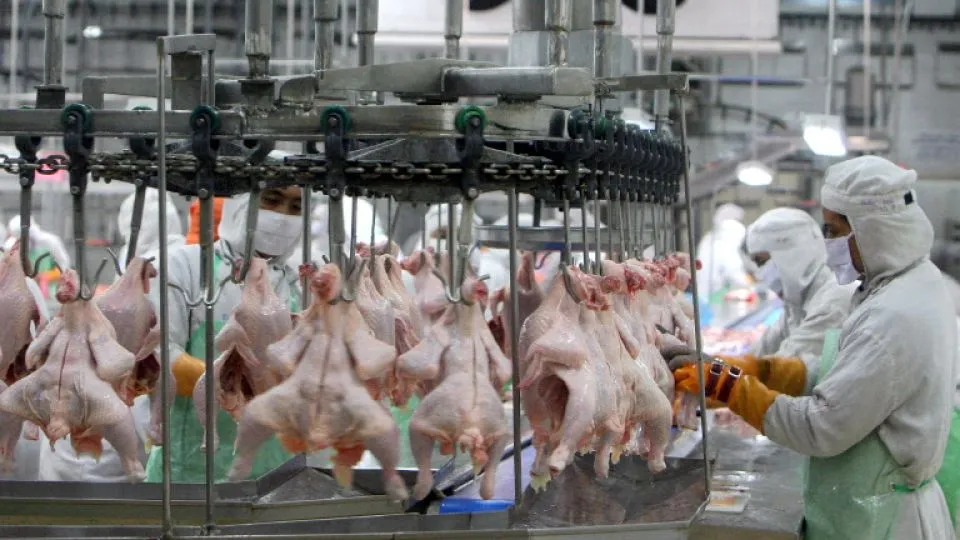 Thailand targets wider EU access for 3 food exports in 2026 deal bid