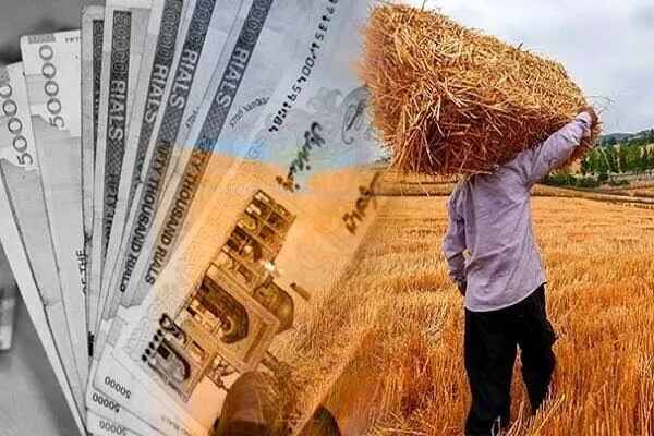 قیمت خرید تضمینی گندم باز هم تعیین نشد؛ گندمکاران در انتظار تصمیم نهایی