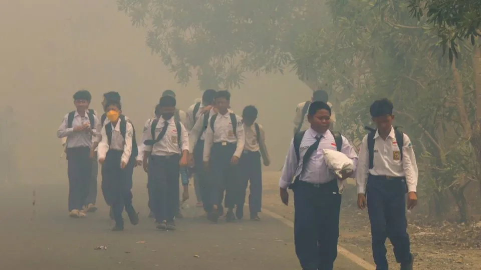 Malaysian firm SD Guthrie denies claims of fires on its Indonesian estates