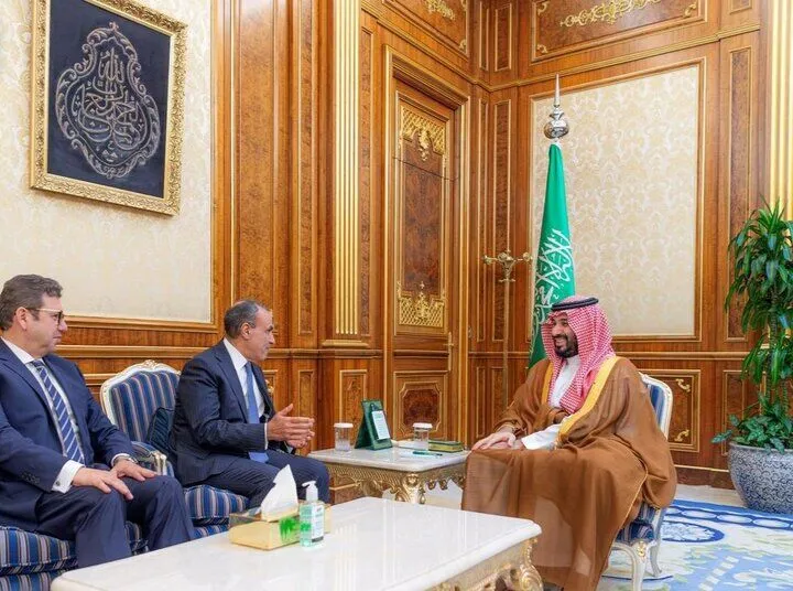 وزیر خارجه مصر در ریاض با بن سلمان دیدار کرد؛ محور دیدار چه بود؟