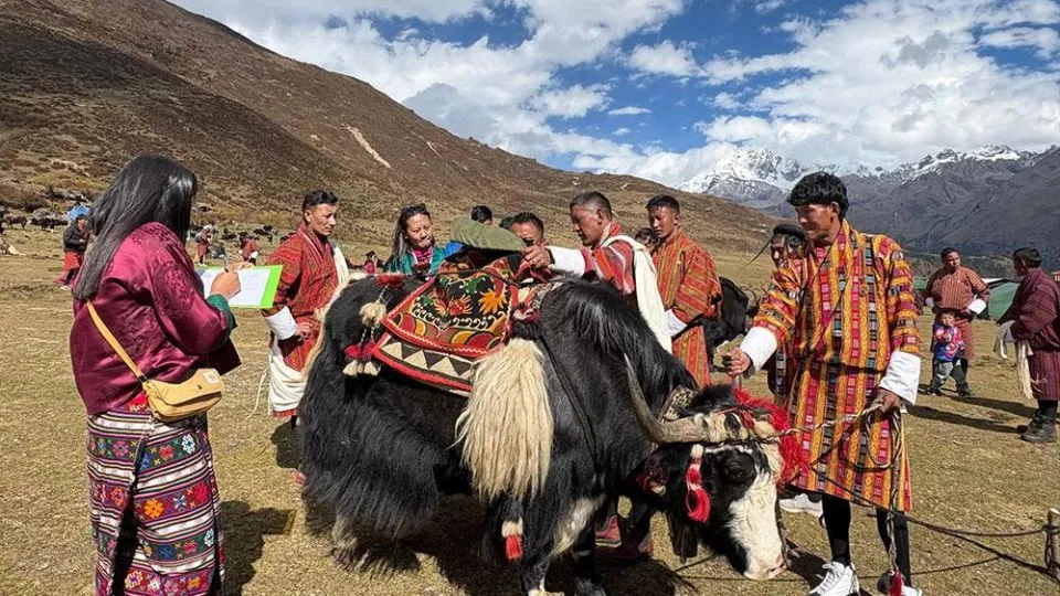 Himalayan Yak Network to launch at Royal Highland Festival in Bhutan