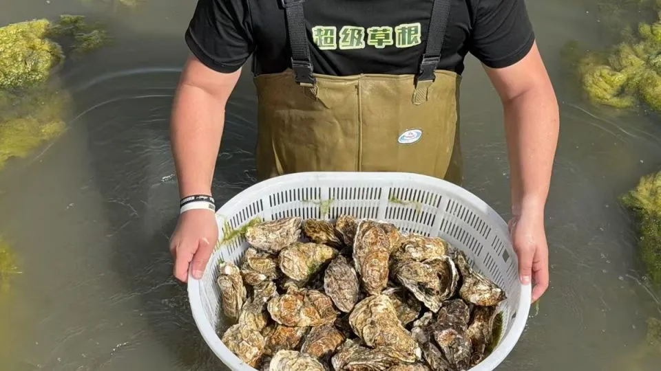 Oysters and crabs farmed in saline-alkali ponds in China’s Xinjiang