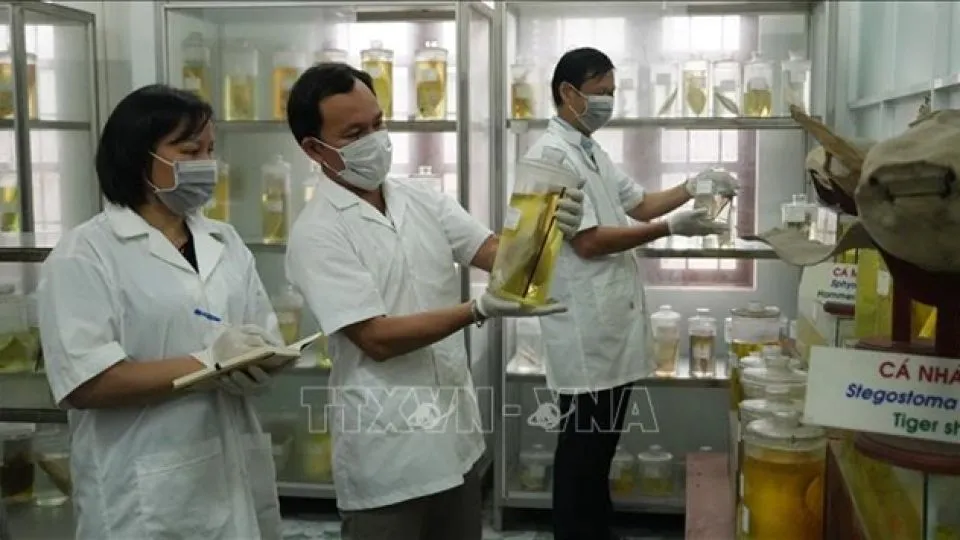 Vietnam National Assembly draft resolution proposes special mechanisms to attract, retain talent, including foreigners