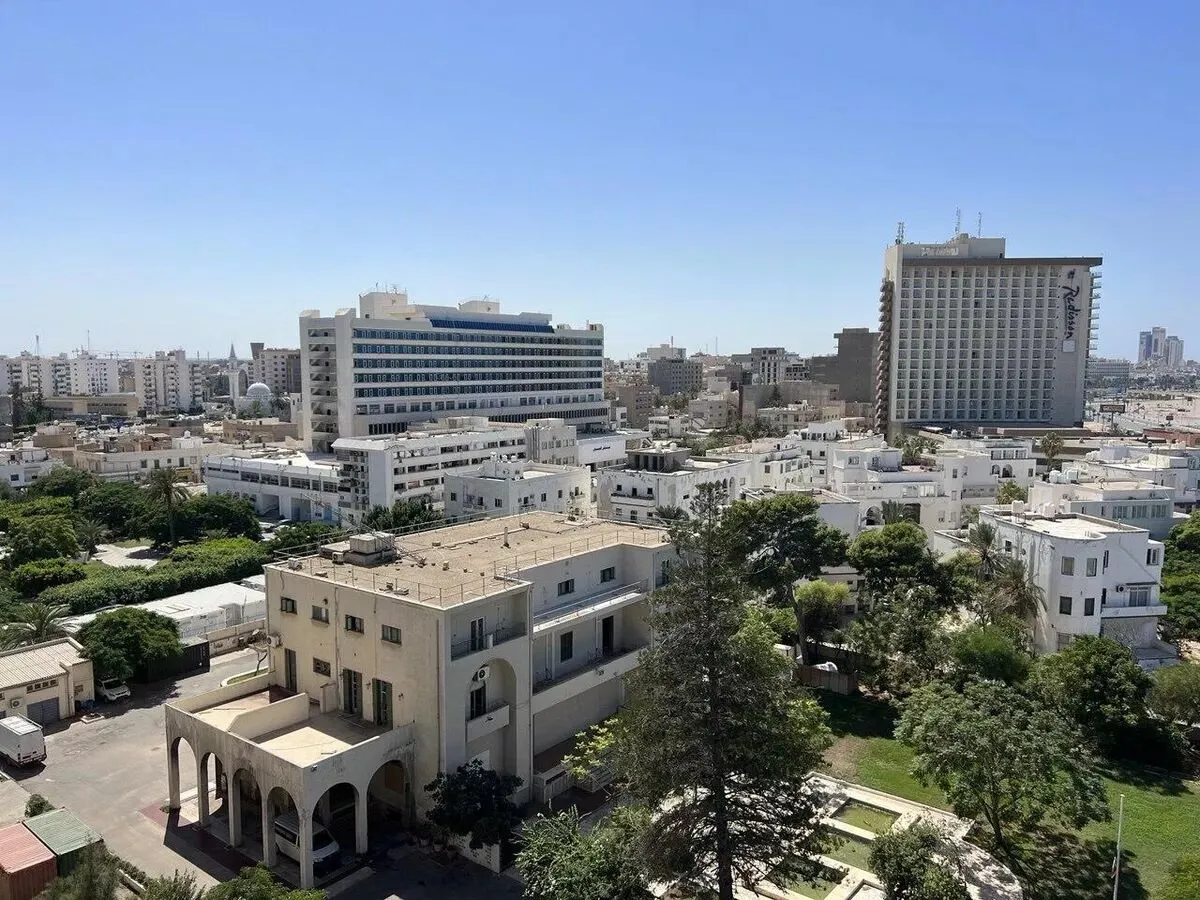 موضع مشترک الجزایر، مصر و تونس درباره لیبی؛ مخالفت با مداخله خارجی