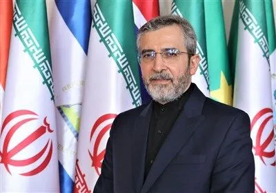 باقری کنی: آمریکا در دستیابی به اهداف خود علیه ایران ناکام ماند