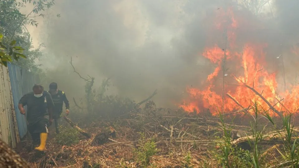 Indonesian government’s defiance over wildfire disaster status faces scrutiny