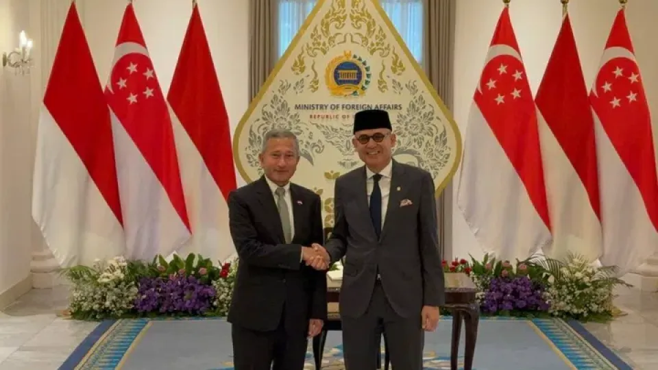 Singapore, Indonesia to set up joint task force to hold firms accountable for forest fires
