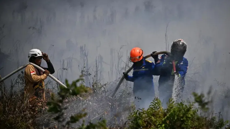 Indonesia names 20 companies as forest fire suspects in crackdown on haze culprits