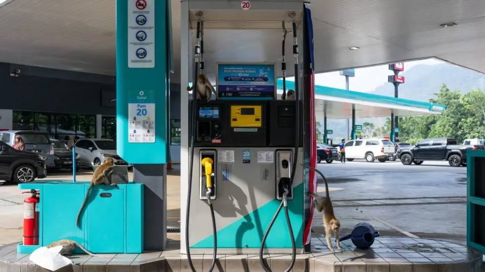 Malaysia’s fuel subsidy bill eases to US$738 million monthly, annual total still projected at US$9.84 billion